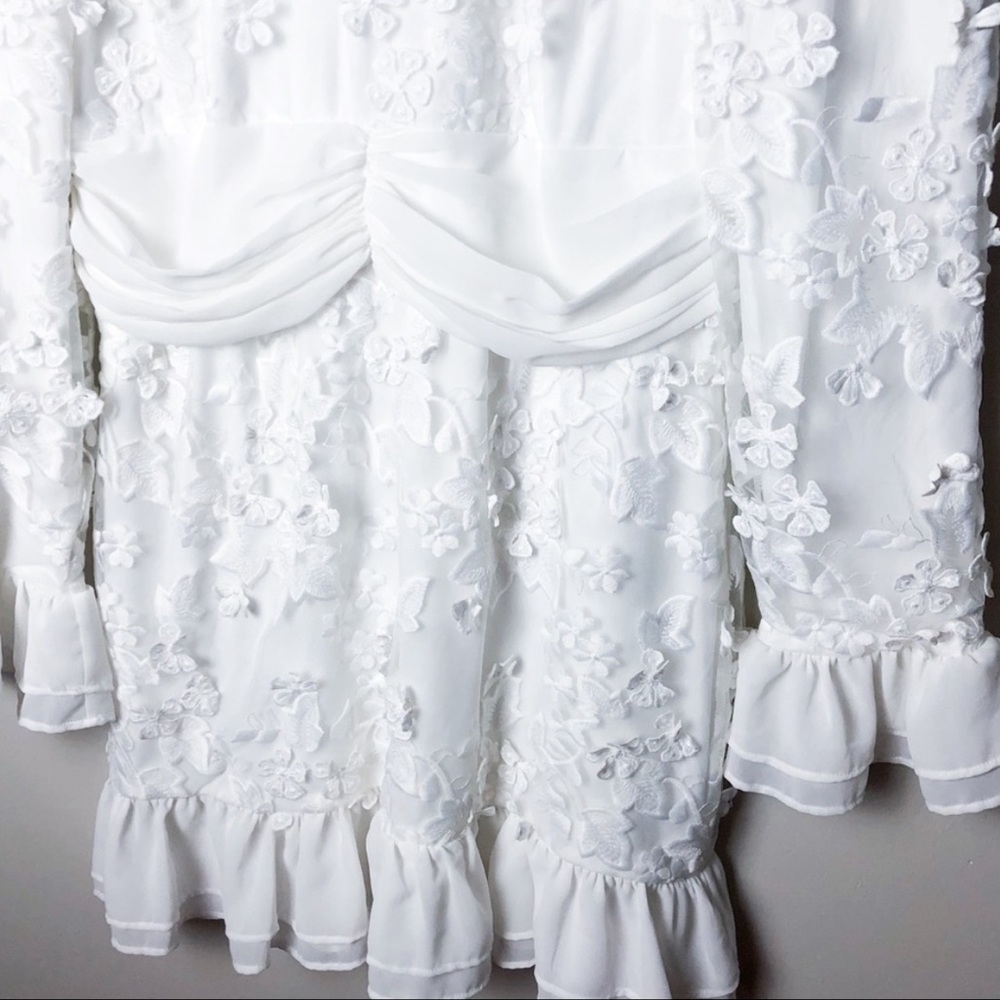 NWT BLUSH Lace Applique Mesh Ruffle Mini Dress - Picture 2 of 5
